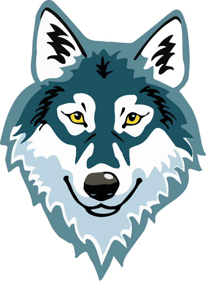 Gray Wolf Face Illustration