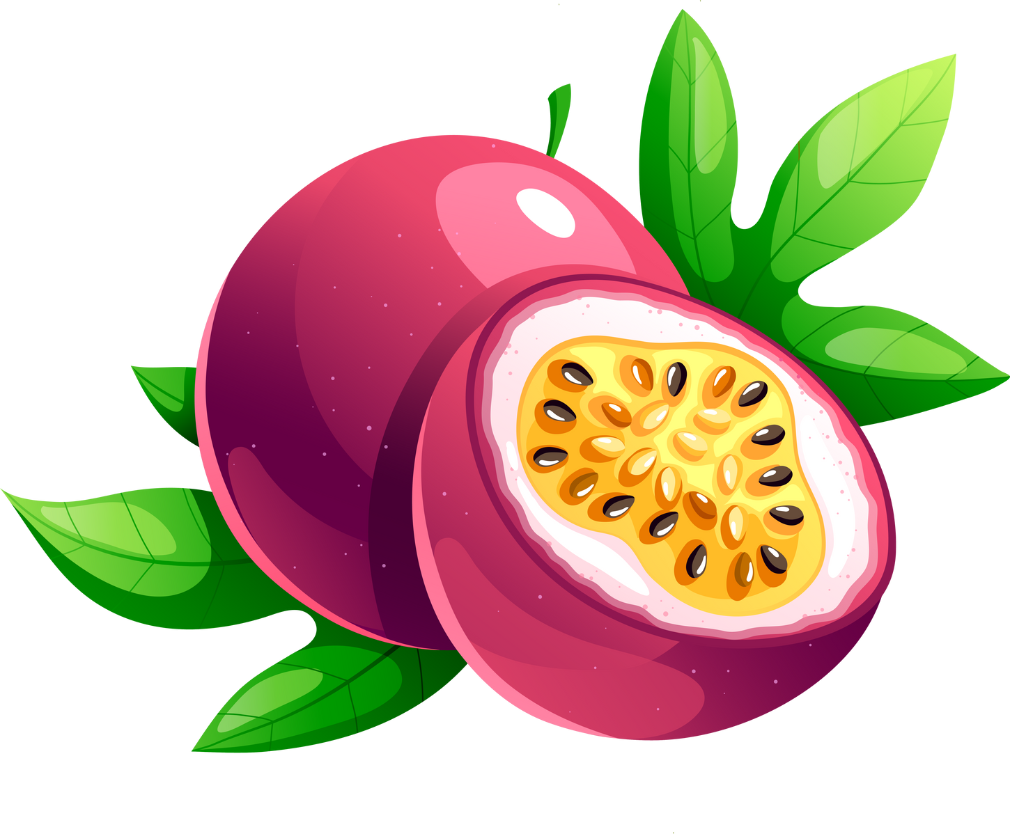 Purple Juicy Bright Passion Fruit Illustration